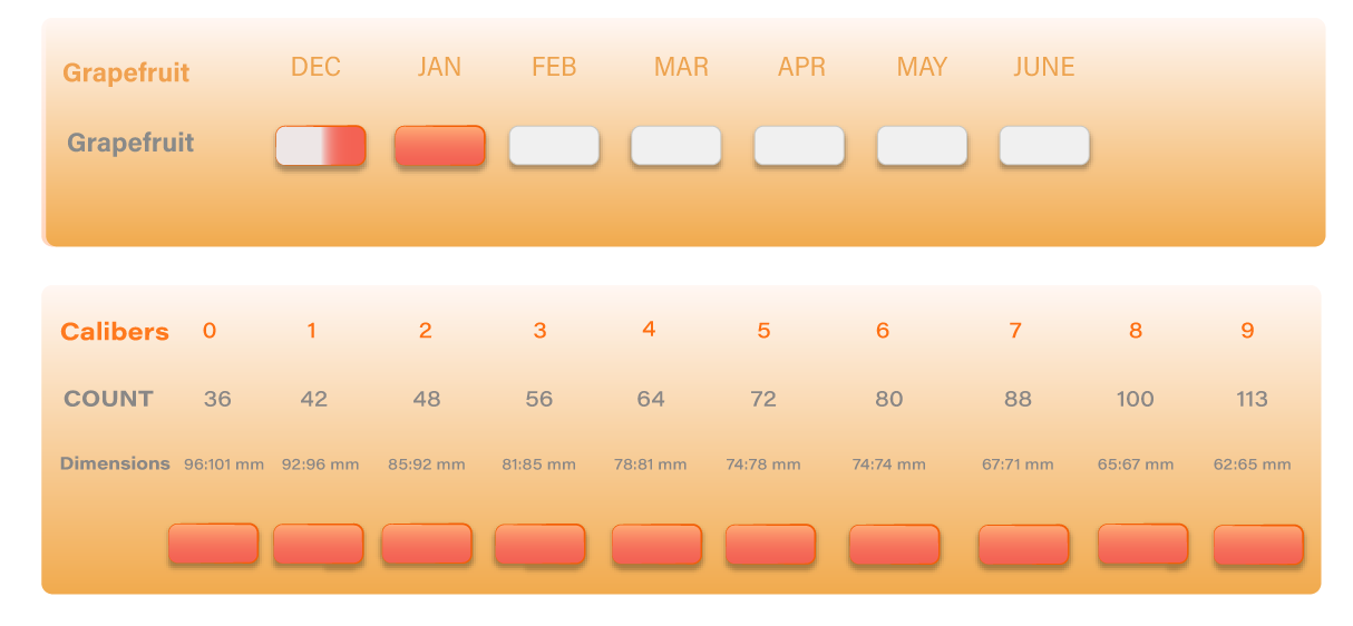 Grapefruit Seasonality